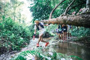 BIB: 
                            <button type="button" onclick="openModal(25443098)" class="btn btn-primary btn-sm float-right btn-popup" data-toggle="modal" data-target=".modal-high-quality">
                        <i class="fas fa-shopping-cart"></i> Add to Cart
                    </button>
                                            <button type="button" onclick="isThisMe(25443098, true)" class="btn btn-success btn-sm float-right btn-popup btn-isme hidden" data-toggle="tooltip" data-placement="bottom" title="นี่คือรูปของคุณใช่ไหม คลิกที่นี่เพื่อเอาเข้าอัลบั้ม">
                        <i class="fas fa-plus"></i> Add to album
                    </button>
                    <button type="button" onclick="isThisMe(25443098, false)" class="btn btn-warning btn-sm float-right btn-popup btn-isnotme hidden">
                        <i class="fas fa-ban"></i> Remove from album
                    </button>